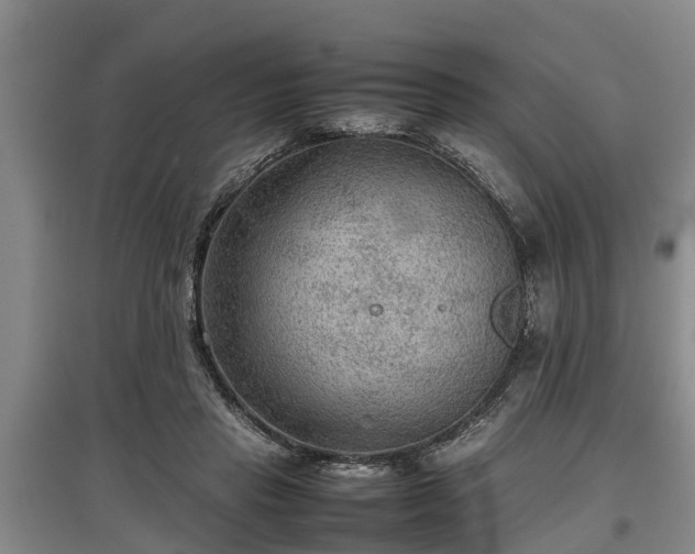 X0000097480453200802291402