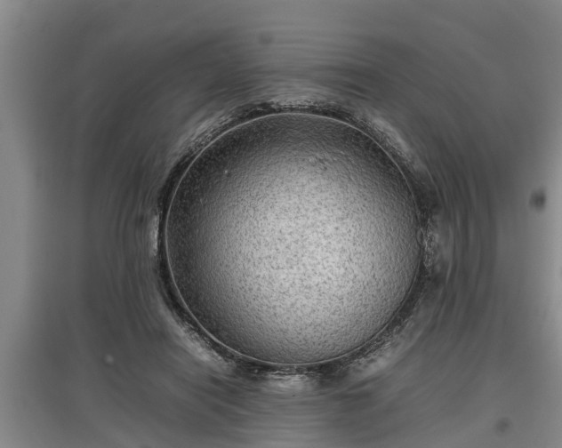 X0000097480454200802291402