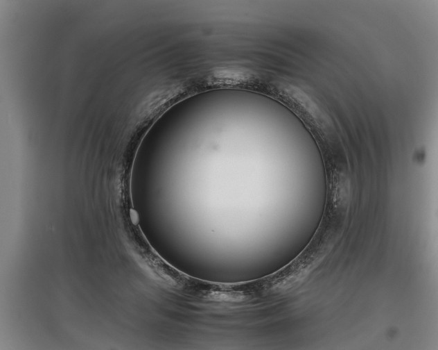 X0000097480455200802291402