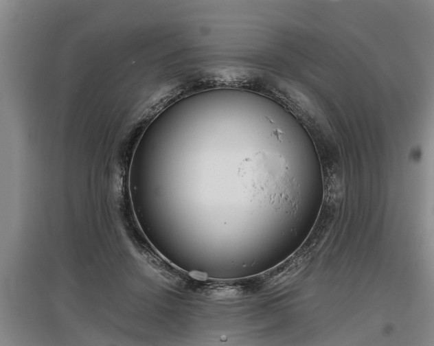 X0000097480456200802291402