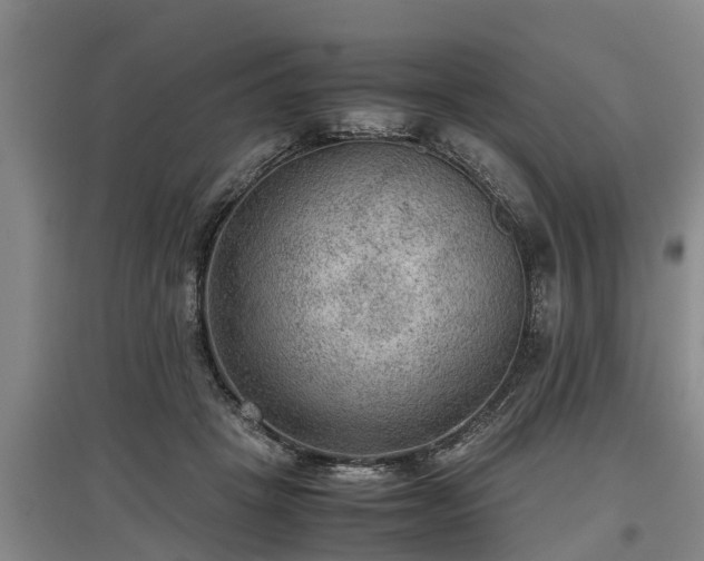 X0000097480457200802291402