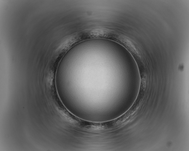 X0000097480458200802291402