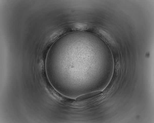 X0000097480459200802291402