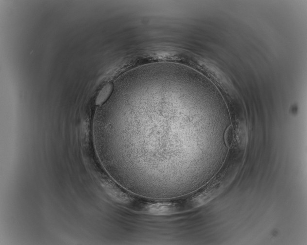 X0000097480461200802291402