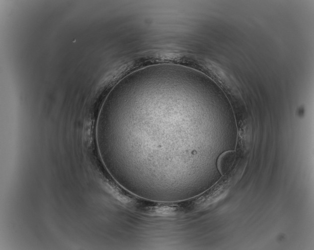 X0000097480462200802291402