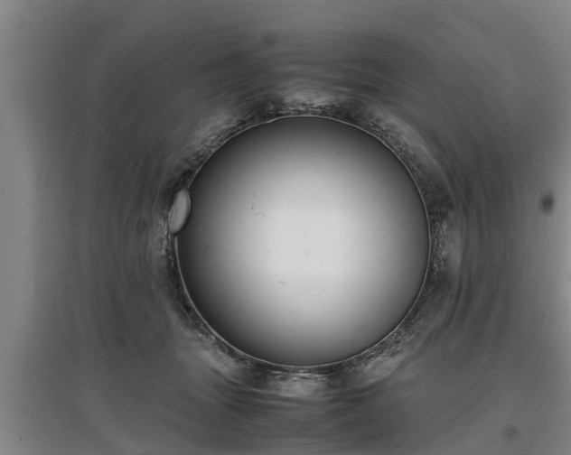 X0000097480463200802291402