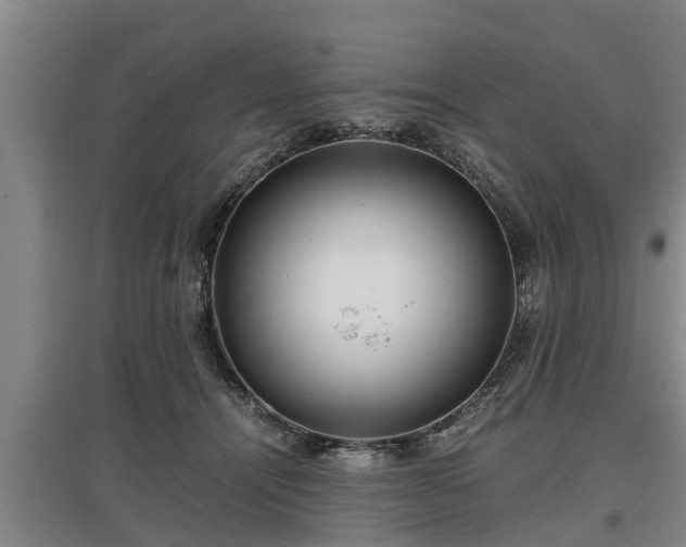 X0000097480464200802291402