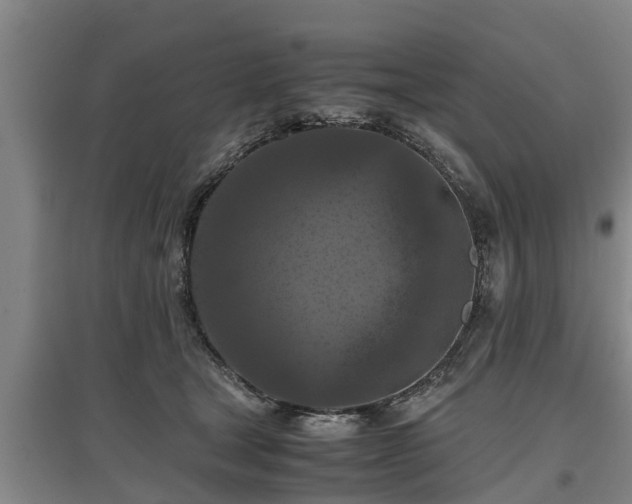 X0000097480465200802291402