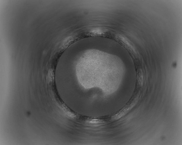 X0000097480467200802291402