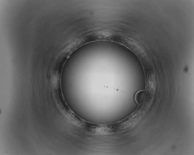 X0000097480468200802291402