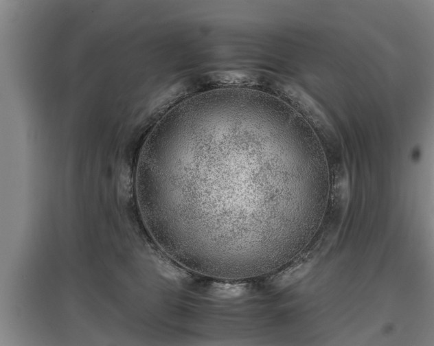 X0000097480469200802291402