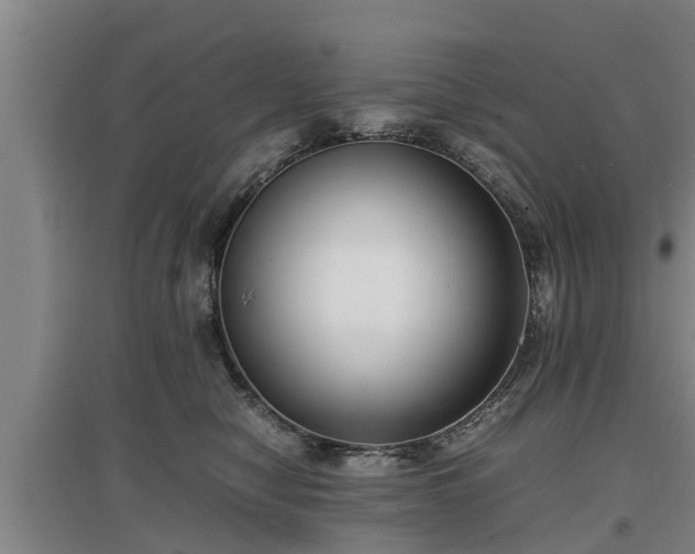 X0000097480470200802291402