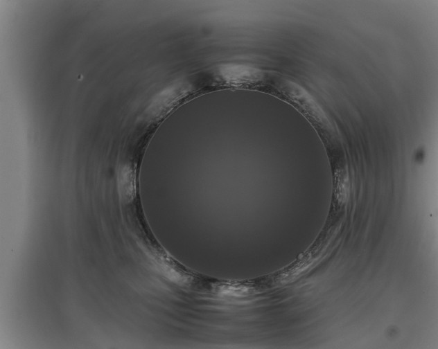 X0000097480471200802291402