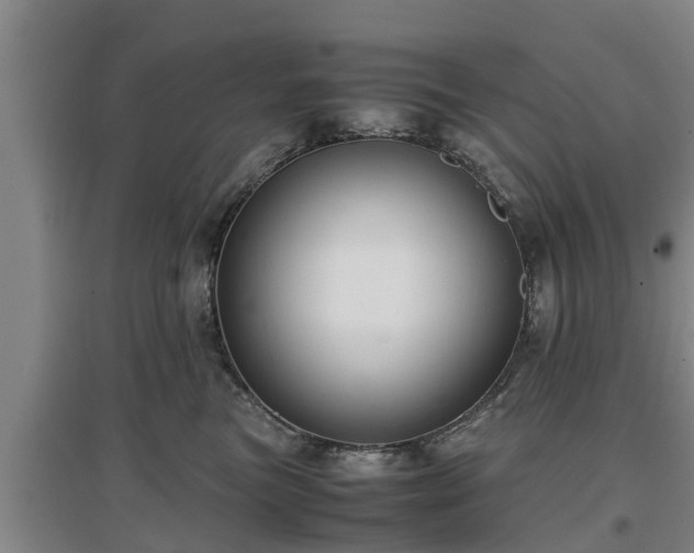 X0000097480473200802291402