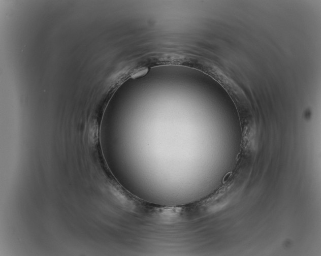 X0000097480474200802291402