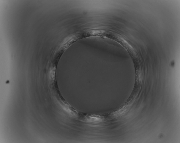 X0000097480475200802291402