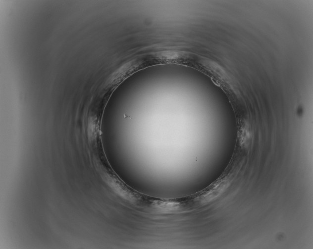 X0000097480476200802291402