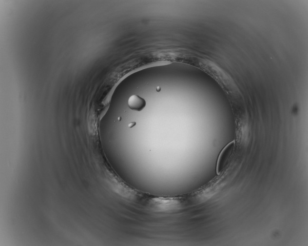 X0000097480477200802291402