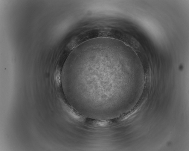 X0000097480479200802291402