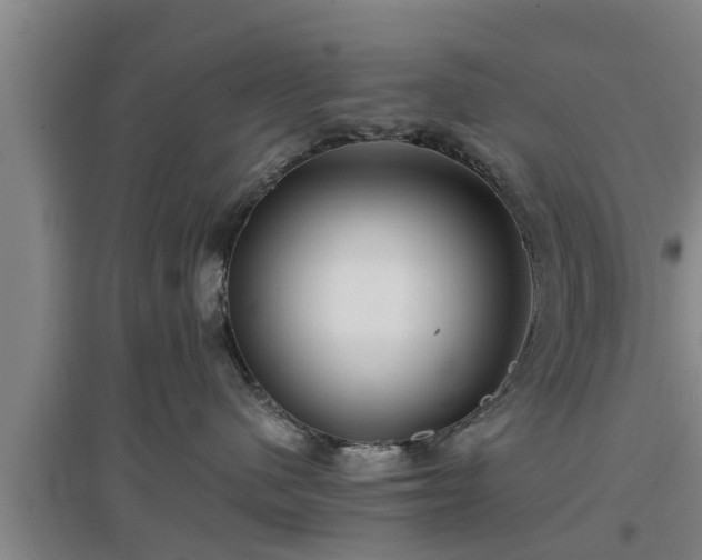 X0000097480480200802291402