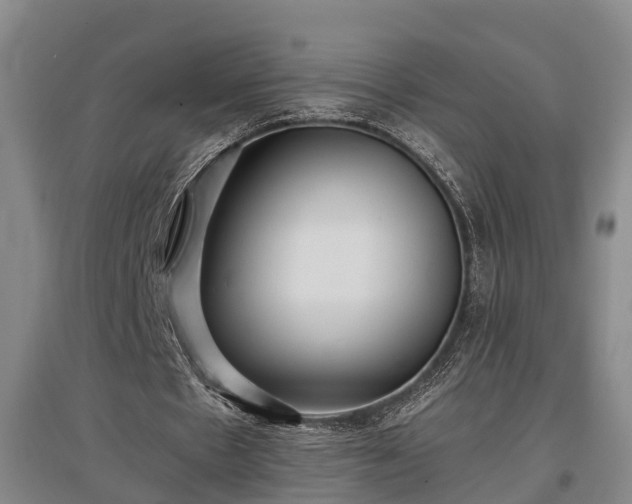 X0000097480481200802291402