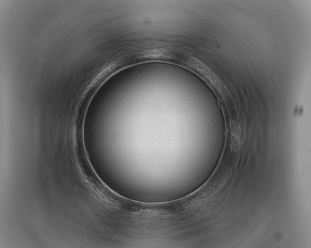 X0000097480482200802291402