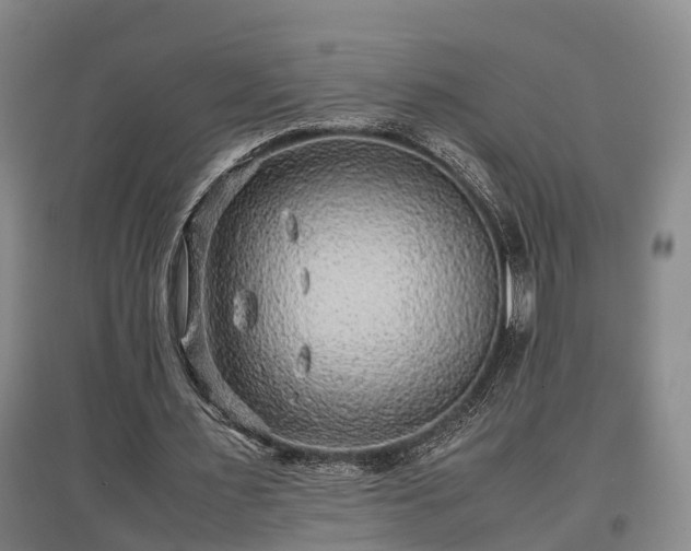 X0000097480483200802291402