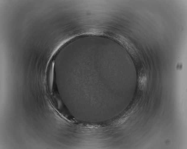 X0000097480484200802291402