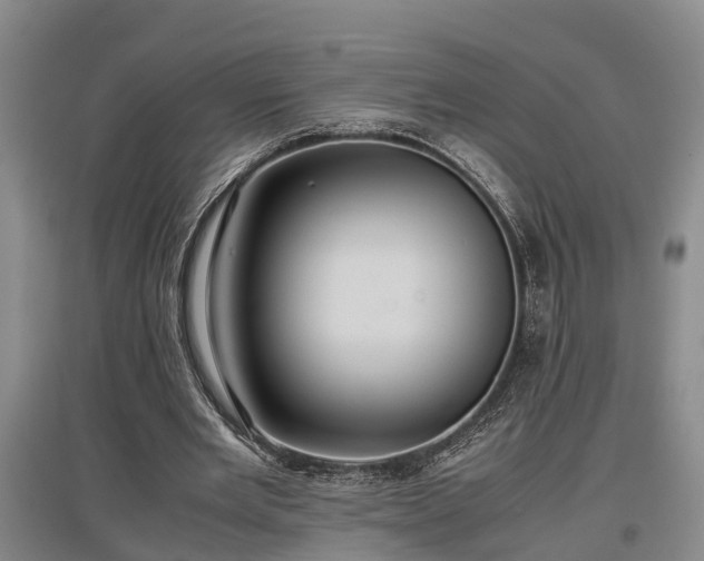 X0000097480485200802291402