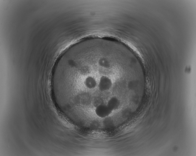 X0000097480487200802291402