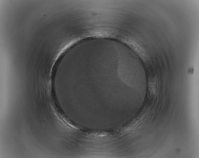 X0000097480488200802291402