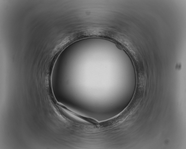 X0000097480489200802291401