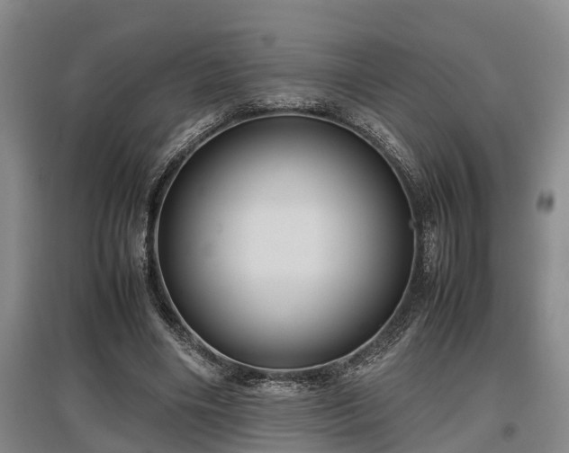 X0000097480490200802291401