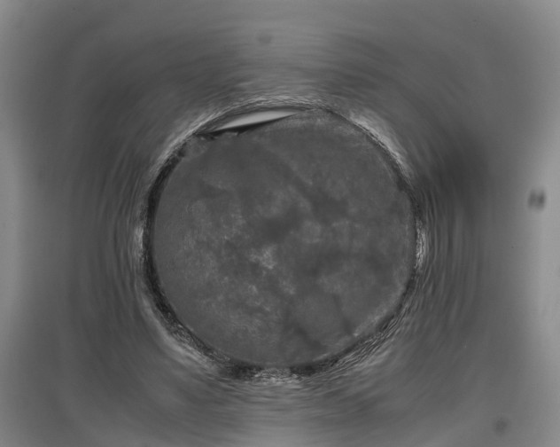 X0000097480491200802291401