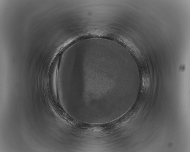 X0000097480492200802291401