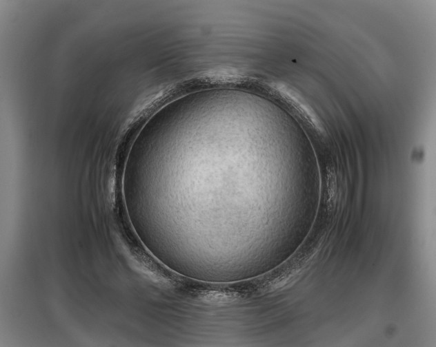 X0000097480494200802291401