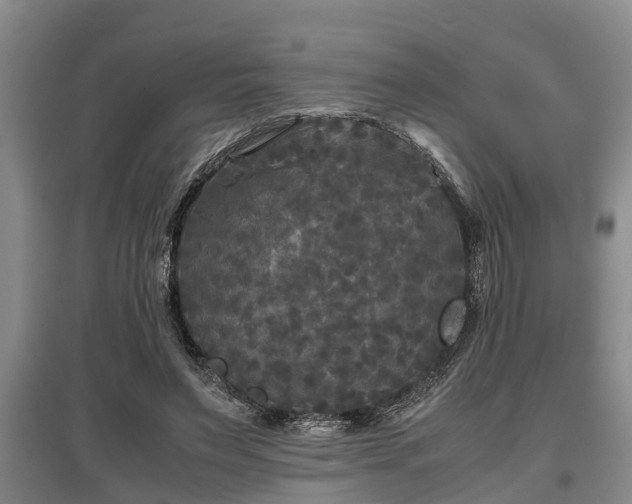 X0000097480495200802291401