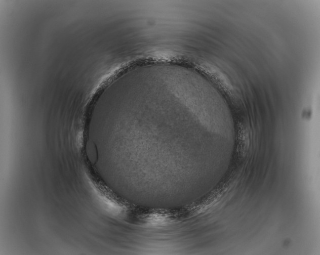 X0000097480496200802291401