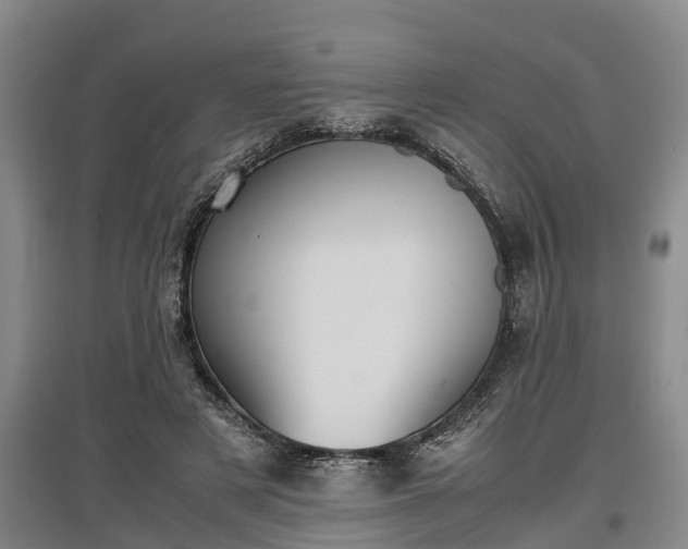 X0000097480497200802291401