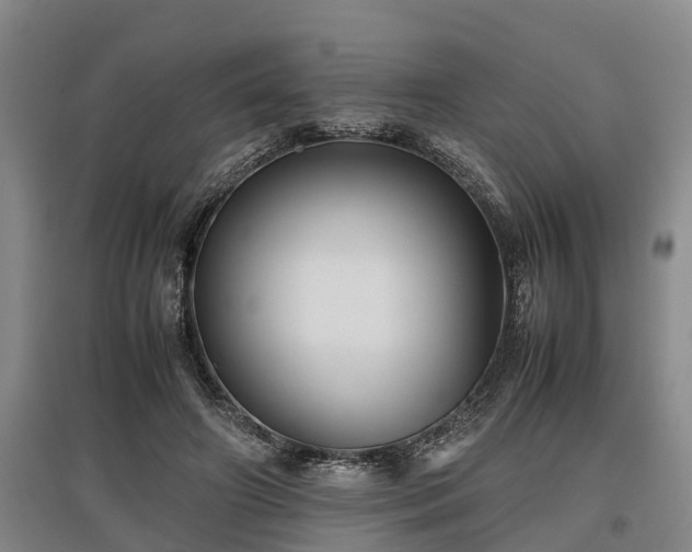 X0000097480498200802291401