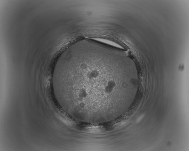 X0000097480499200802291401