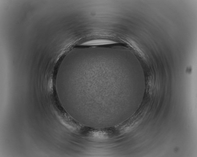 X0000097480500200802291401