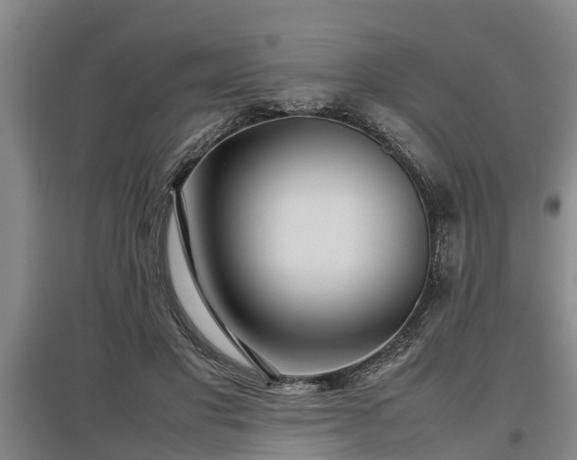 X0000097480501200802291401