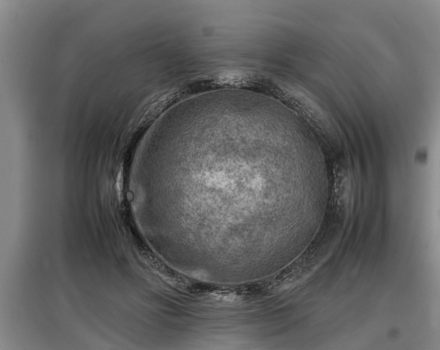 X0000097480502200802291401