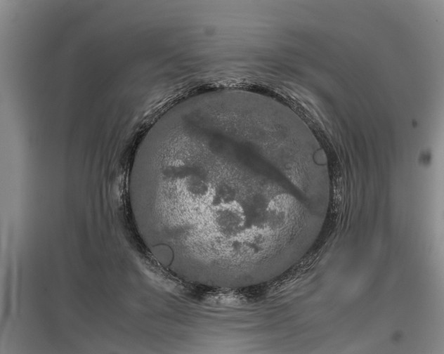 X0000097480503200802291401