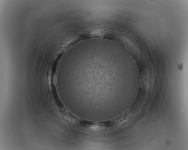 X0000097480504200802291401