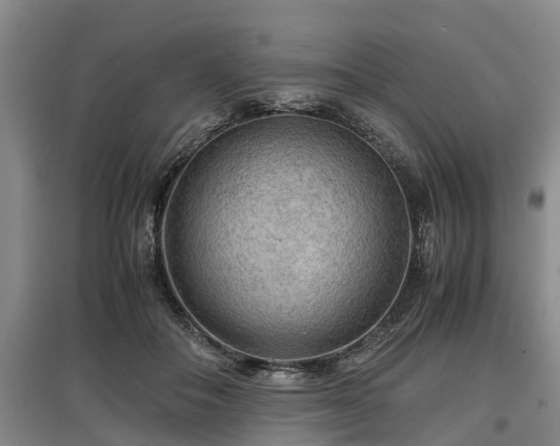 X0000097480506200802291401