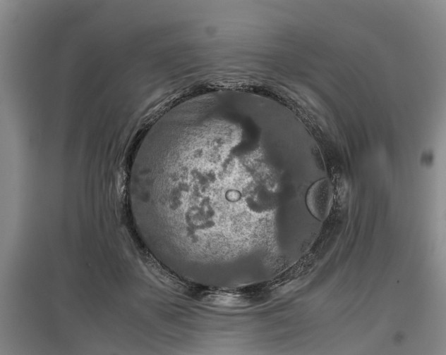 X0000097480507200802291401