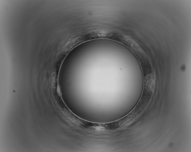 X0000097480509200802291401