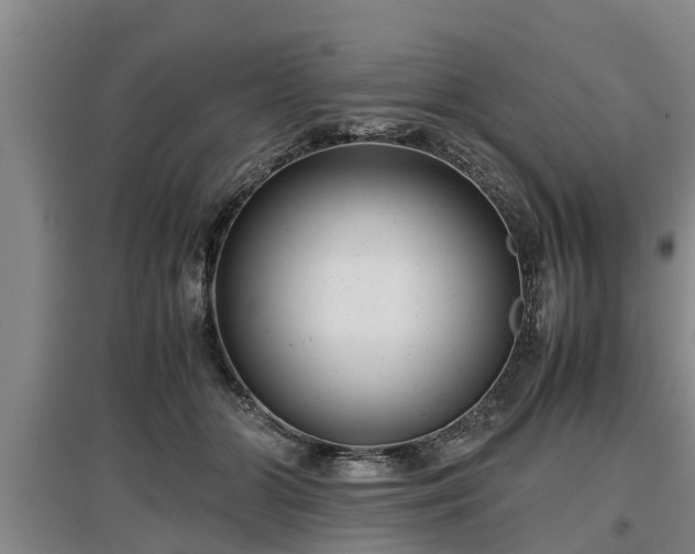 X0000097480510200802291401